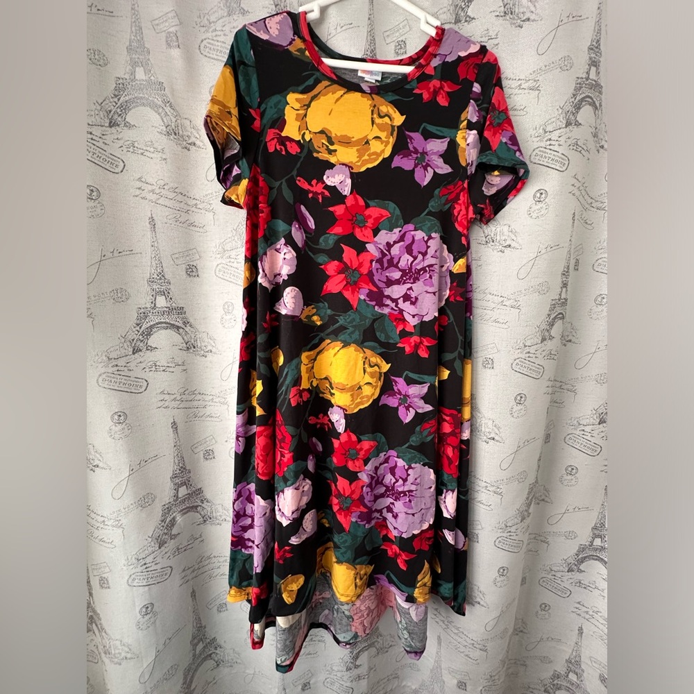 LuLaRoe Carly Dress